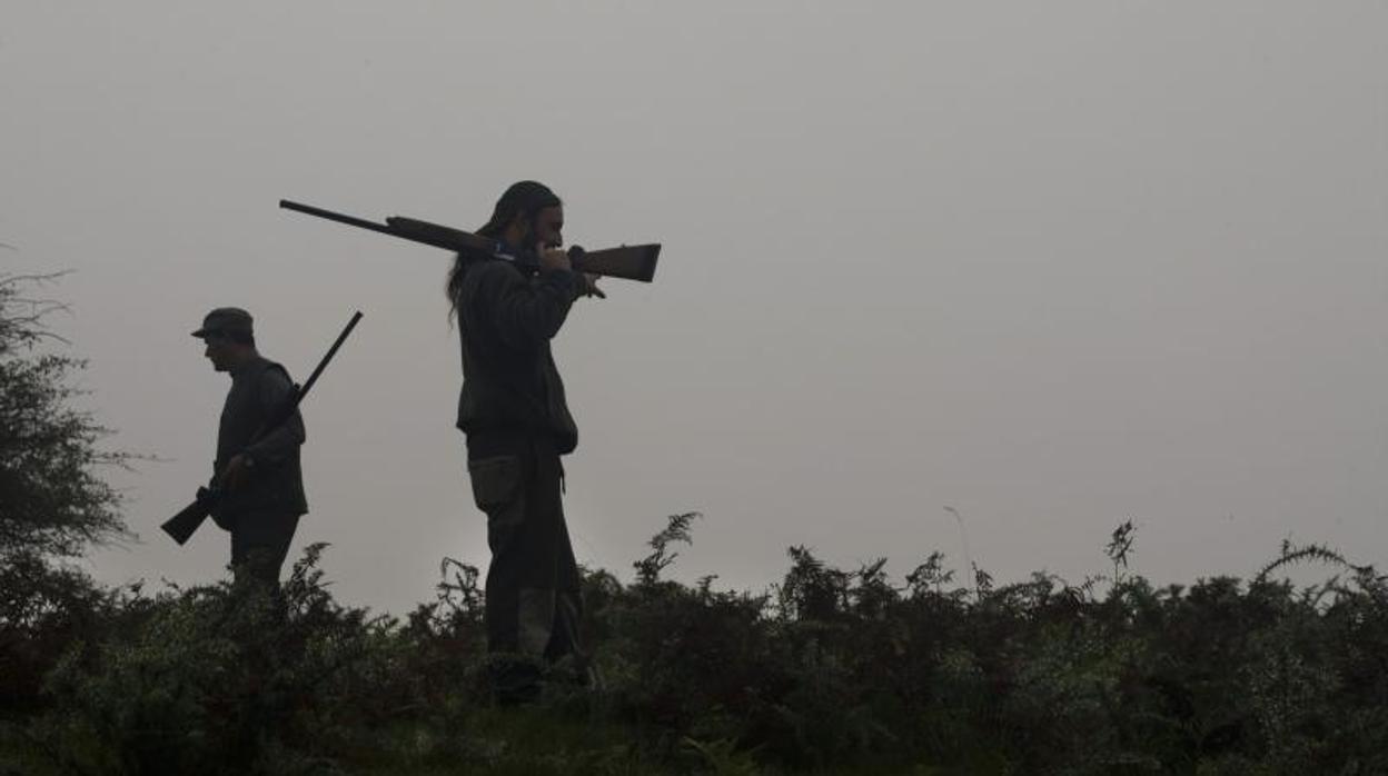 La Fundación Artemisan pide que se permita cazar en Cabañeros