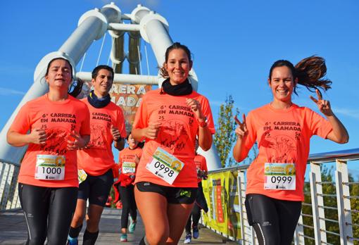 Carrera solidaria de Bioparc Valencia este domingo