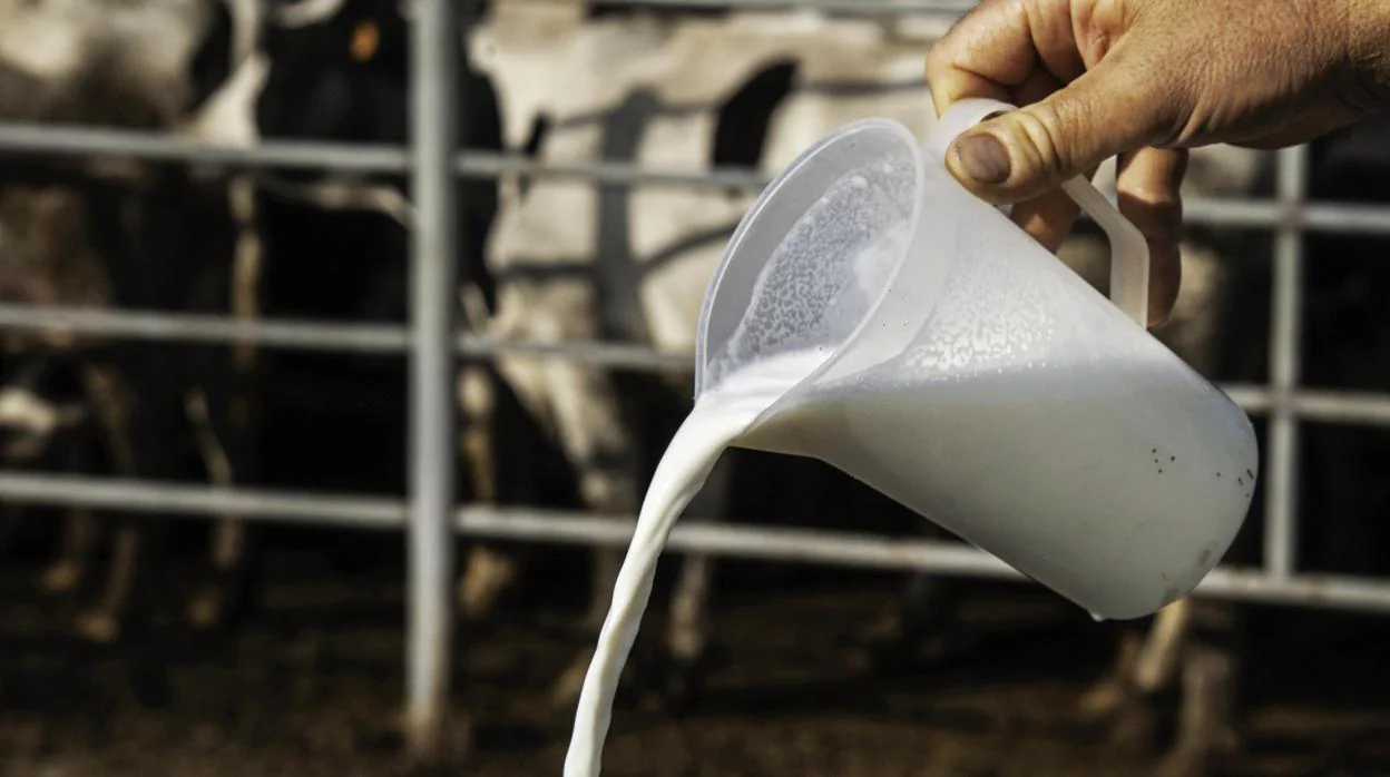 Cinco mitos sobre los lácteos y sus «muchos beneficios» que deberías saber