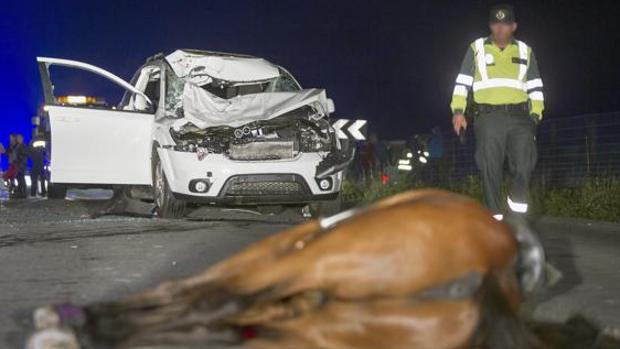Muere una mujer al chocar su turismo con un caballo en Domingo Pérez