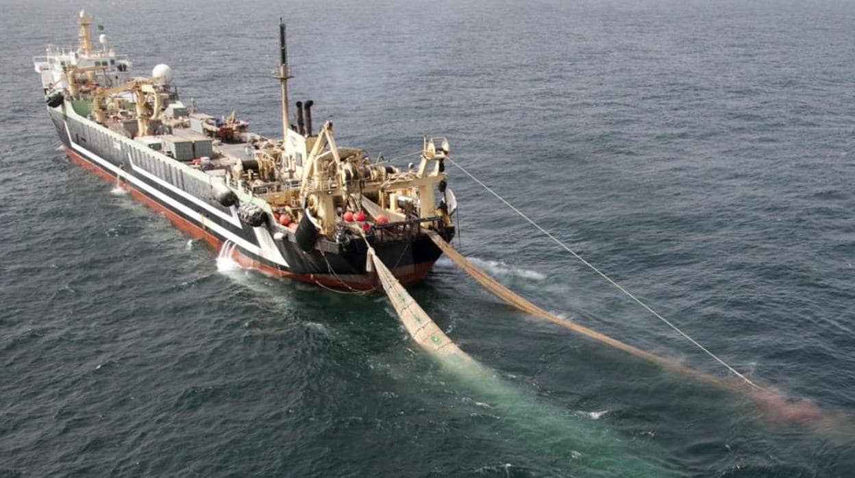 Puertos de Canarias: La industria holandesa aumenta su producción pesquera en Mauritania