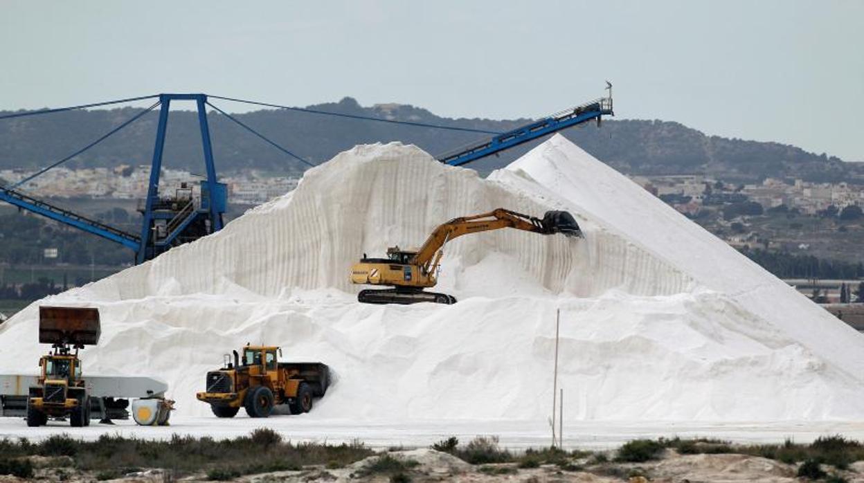 Vista general de las salinas de Torrevieja (Alicante)