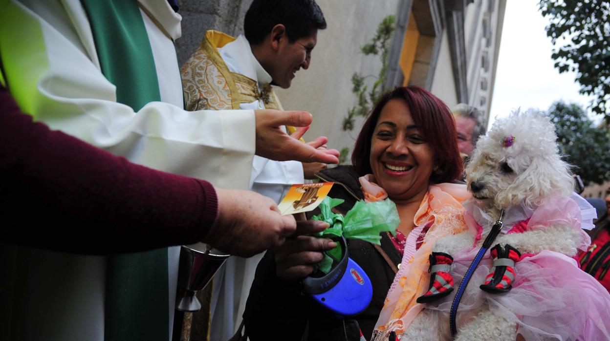 Tradicional bendición de animales en la Iglesia de San Antón