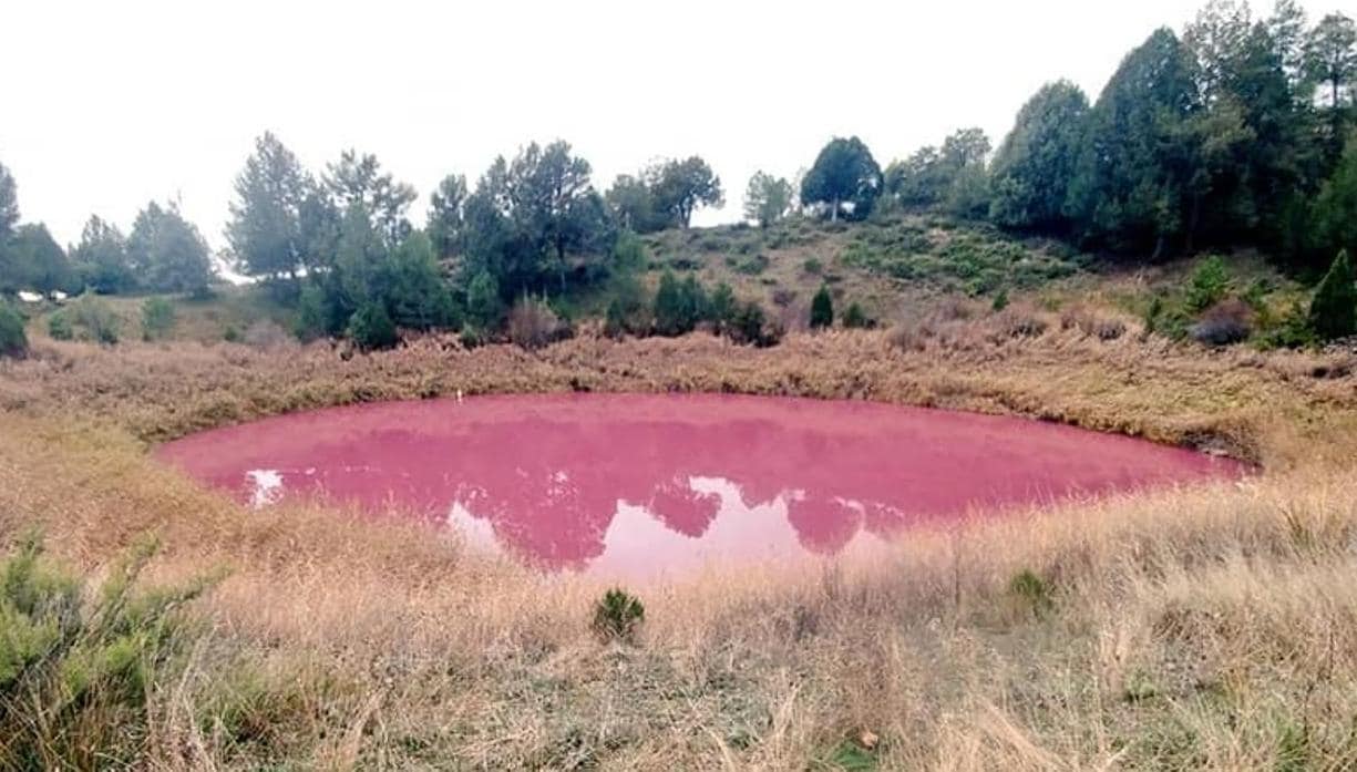 La llamada «laguna rosa» de Cañada del Hoyo (Cuenca)