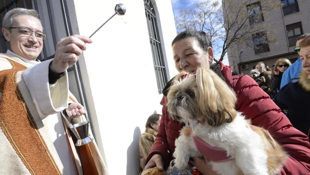 Decenas de mascotas reciben la bendición de san Antón