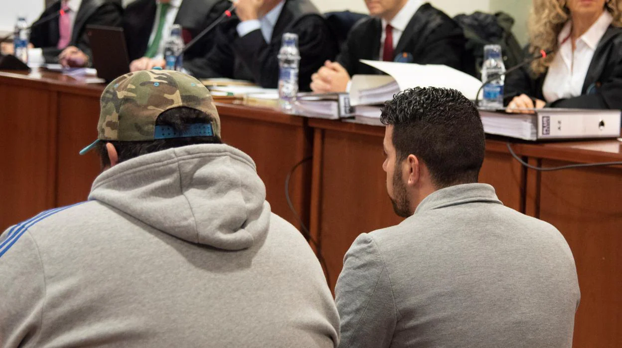 El juicio contra el cazador de Aspa se ha celebrado esta semana en la Audiencia de Lérida