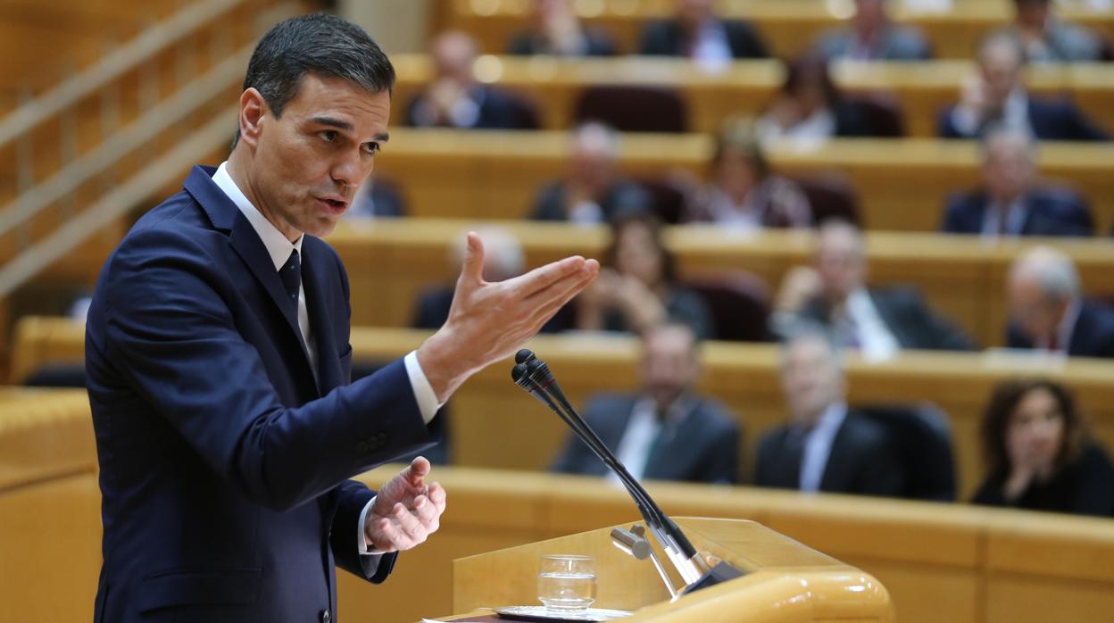 Pedro Sánchez comparece en el Senado