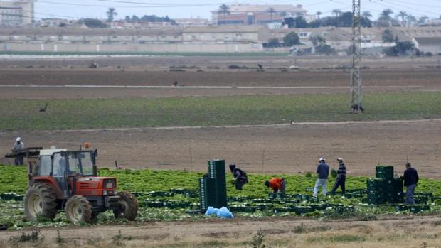 La Fiscalía pide más de mil años de cárcel para un clan que esclavizaba a trabajadores en varias provincias