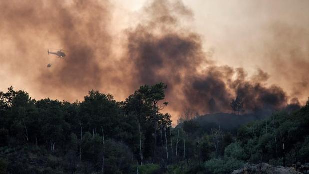 El año 2018 fue el segundo de la serie histórica con menor impacto del fuego