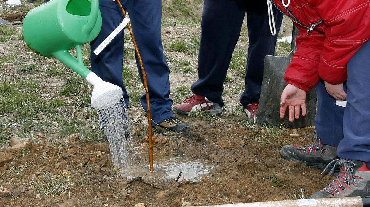 Promueven la replantación del centro Virgen de Llano de Aguilar de Campoo