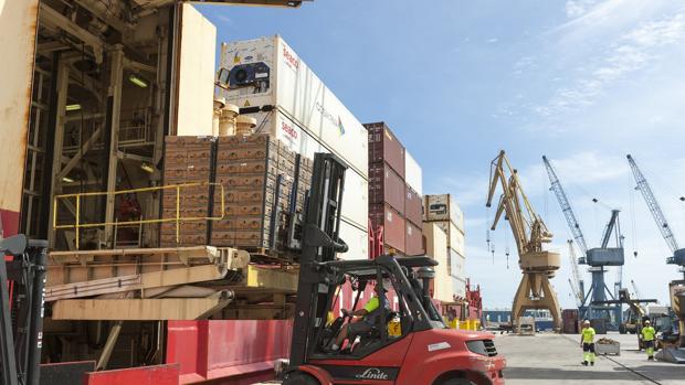 Restringen la llegada a Canarias de palets de madera