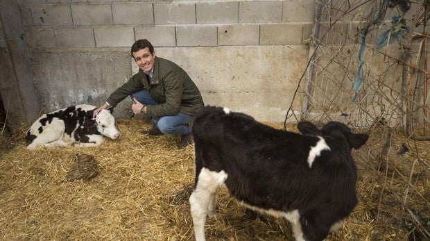 Pablo Casado, sobre Silvia Clemente: «Se hace daño a sí misma»