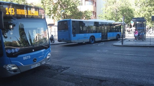 Los perros podrán viajar en autobuses de la EMT con su dueño si llevan bozal y correa