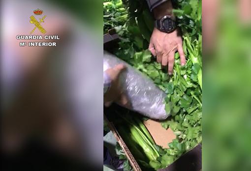 La droga, entre las verduras