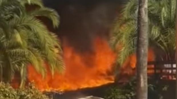 Vídeo: Fataga bordea el desastre ambiental en Canarias