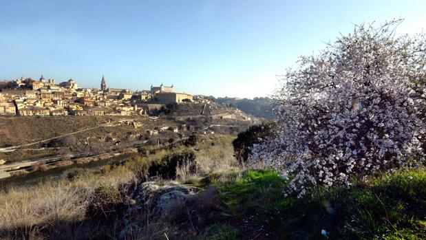 La primavera será calurosa y con pocas lluvias en Castilla-La Mancha