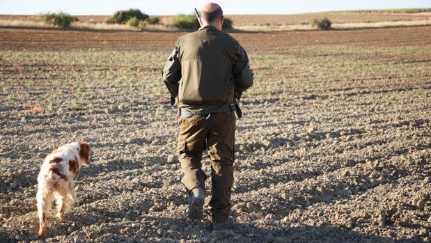 Desde este lunes 1 de abril ya se puede cazar en Castilla y León