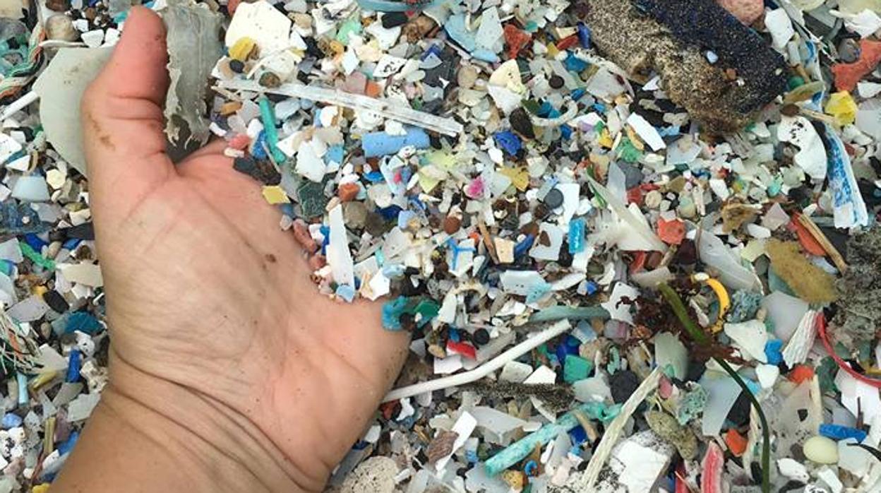 Plásticos en las playas de Tenerife