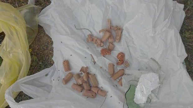 Identifican a un sospechoso que pudo esparcir salchichas con alfileres para perros en Barajas