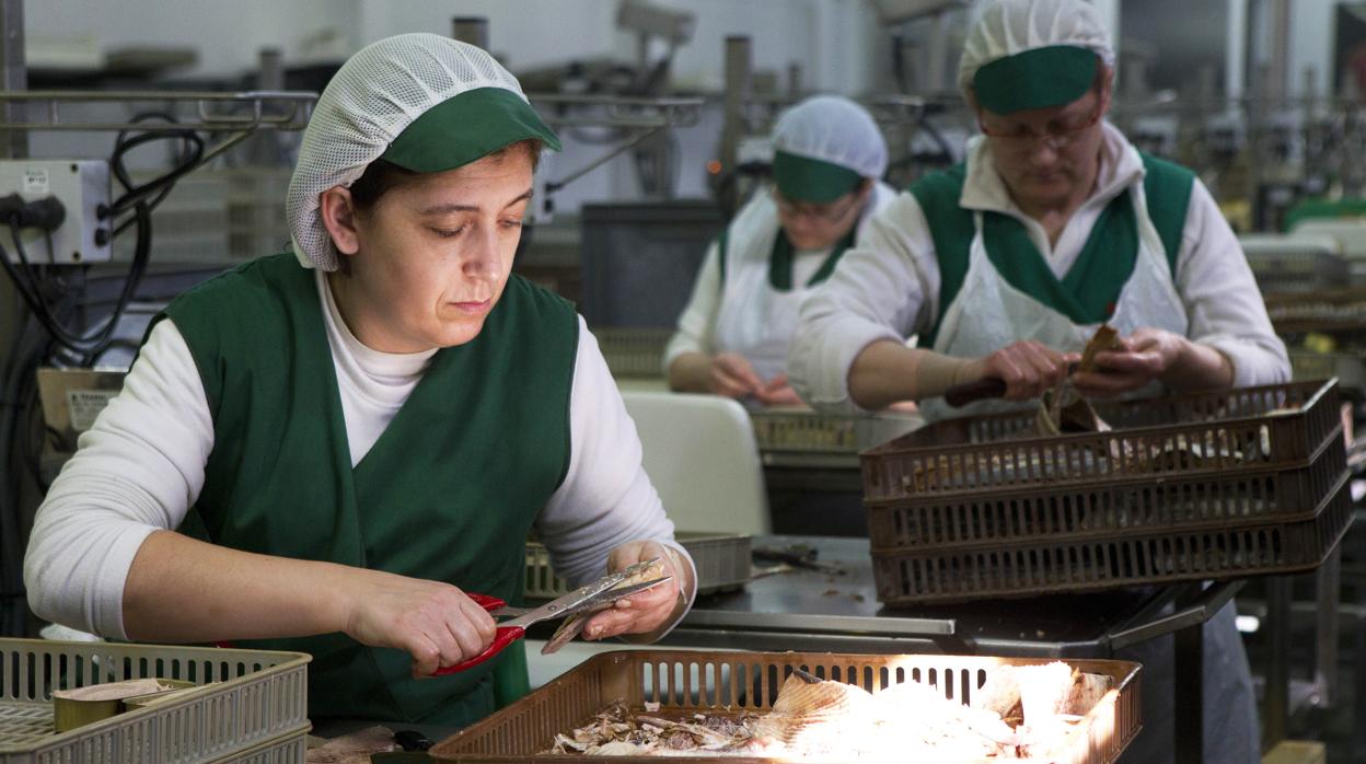 Trabajadoras en una fábrica de conservas gallega
