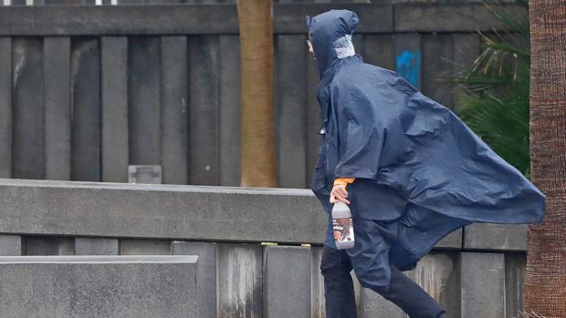 En alerta amarilla Alicante y Valencia por rachas de viento de hasta 70 kilómetros por hora este domingo