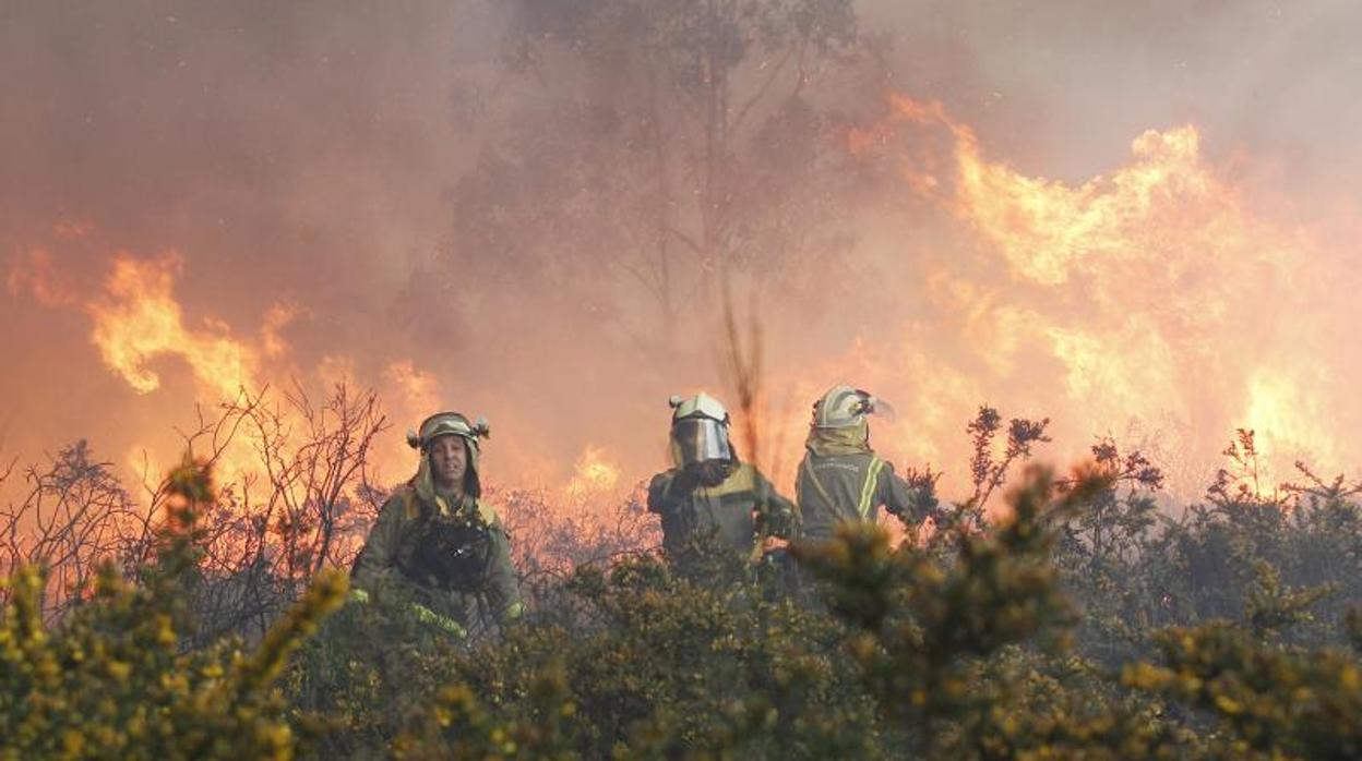 Incendio forestal en el municipio coruñés de Rianxo producido a finales del mes pasado