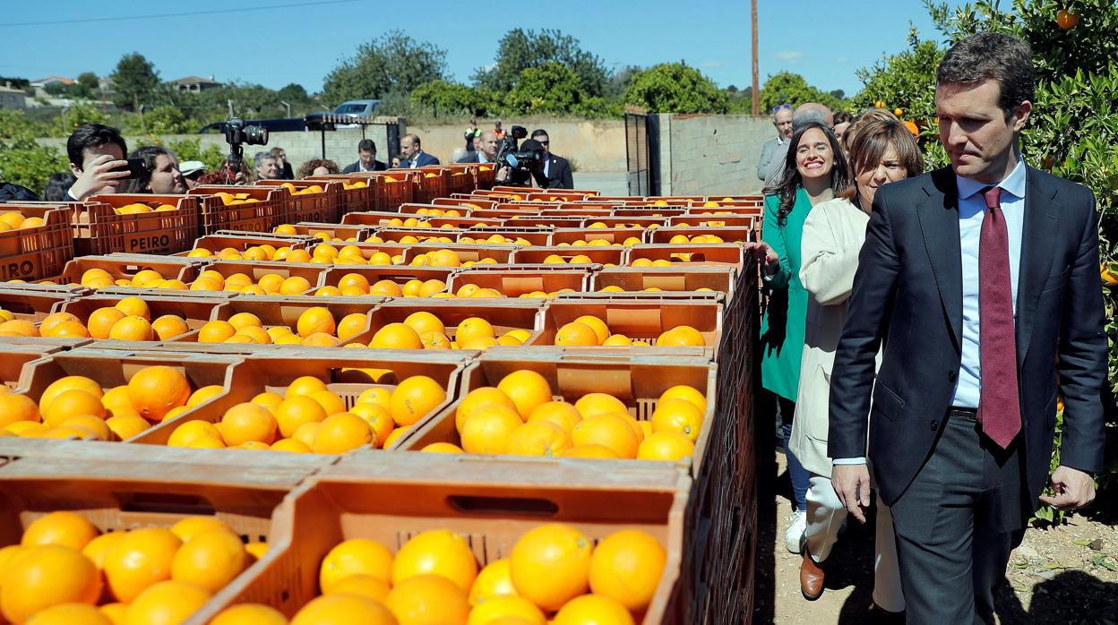 Imagen de Pablo Casado tomada la semana pasada durante su visita a la provincia de Valencia