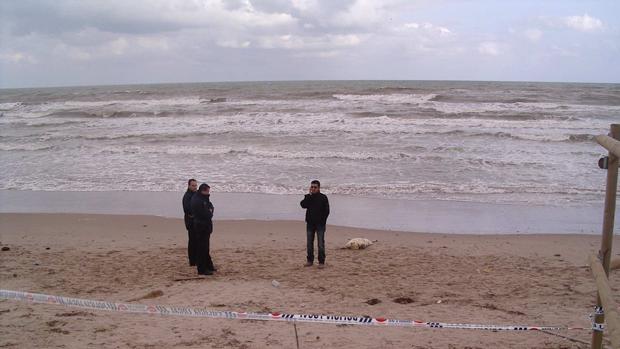 Una turista francesa muere al precipitarse a una cala de rocas en Denia cuando intentaba coger una flor