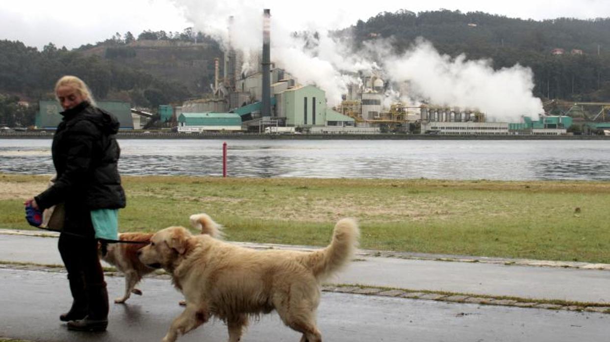 Factoría de Ence en la zona de Lourizán en la ría de Pontevedra