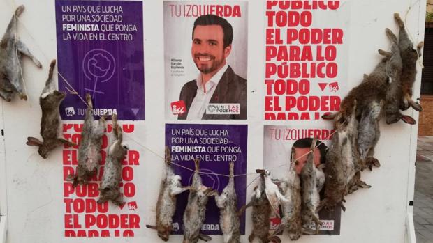 Cuelgan conejos muertos en un cartel electoral de Alberto Garzón en La Puebla de Almoradiel