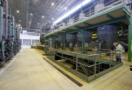 Vista interior de las instalaciones en la fábrica de Olmedo