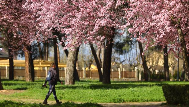 Las dos próximas semanas tendrán temperaturas «más propias del mes de junio»