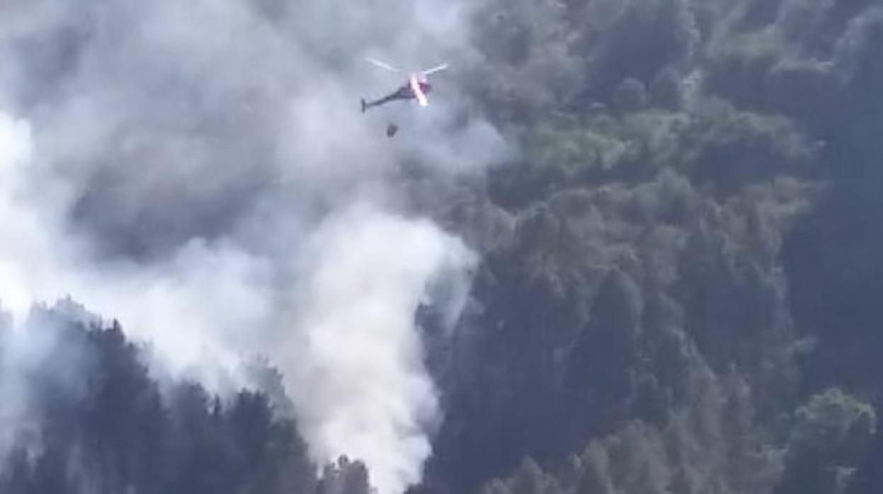 Arde en Canarias lo que quedaba del bosque de Doramas