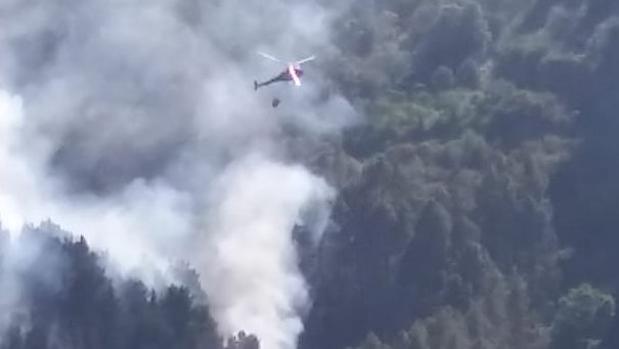 Arde en Canarias lo que quedaba del bosque de Doramas