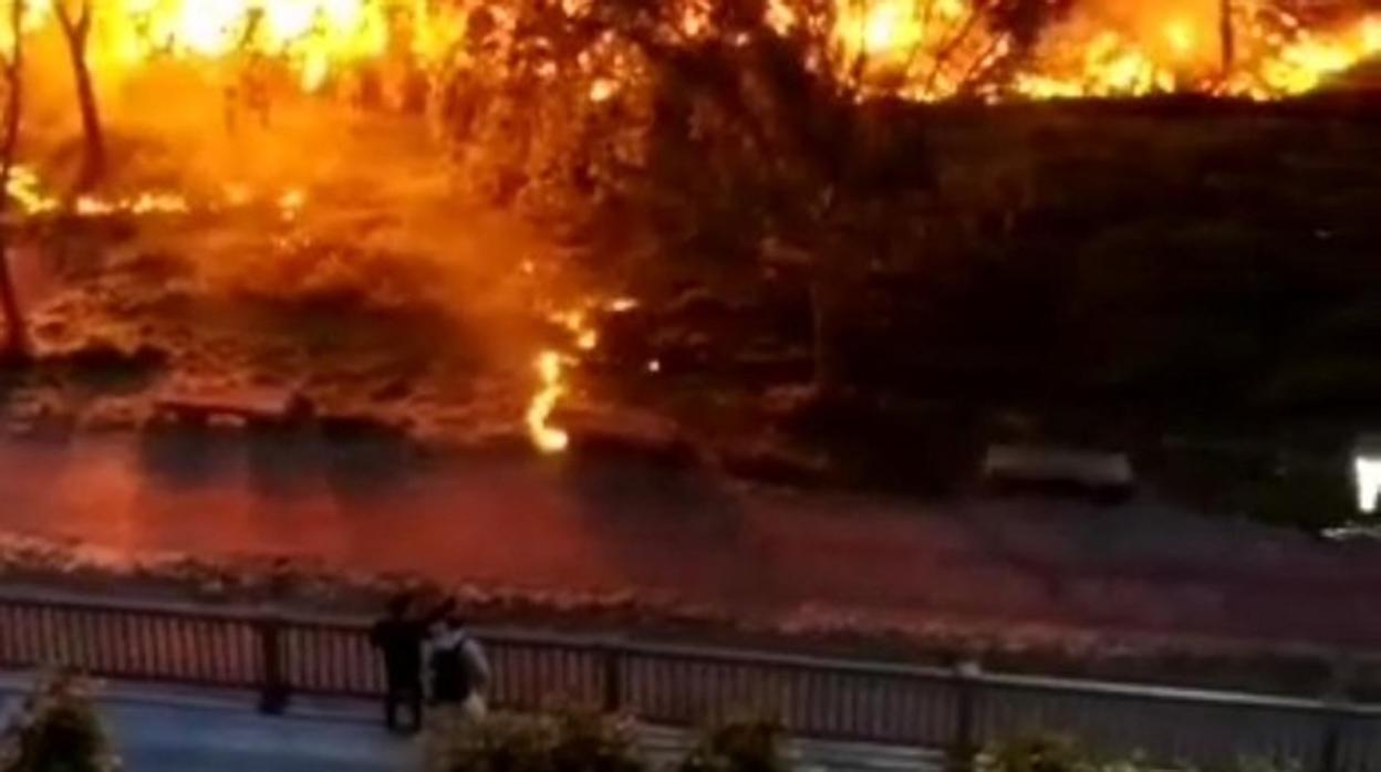 Imagen del incendio registrado a orillas del Carrión en Palencia