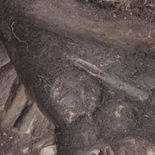 Restos humanos encontrados en Vilachá