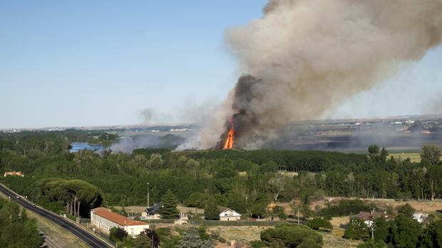 Declarado un aparatoso incendio en la ribera del Tormes, en Salamanca