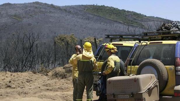 Estabilizado el incendio forestal declarado en Almorox