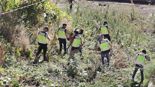 La brillante maniobra de la Policía en Canarias para acabar con una red criminal