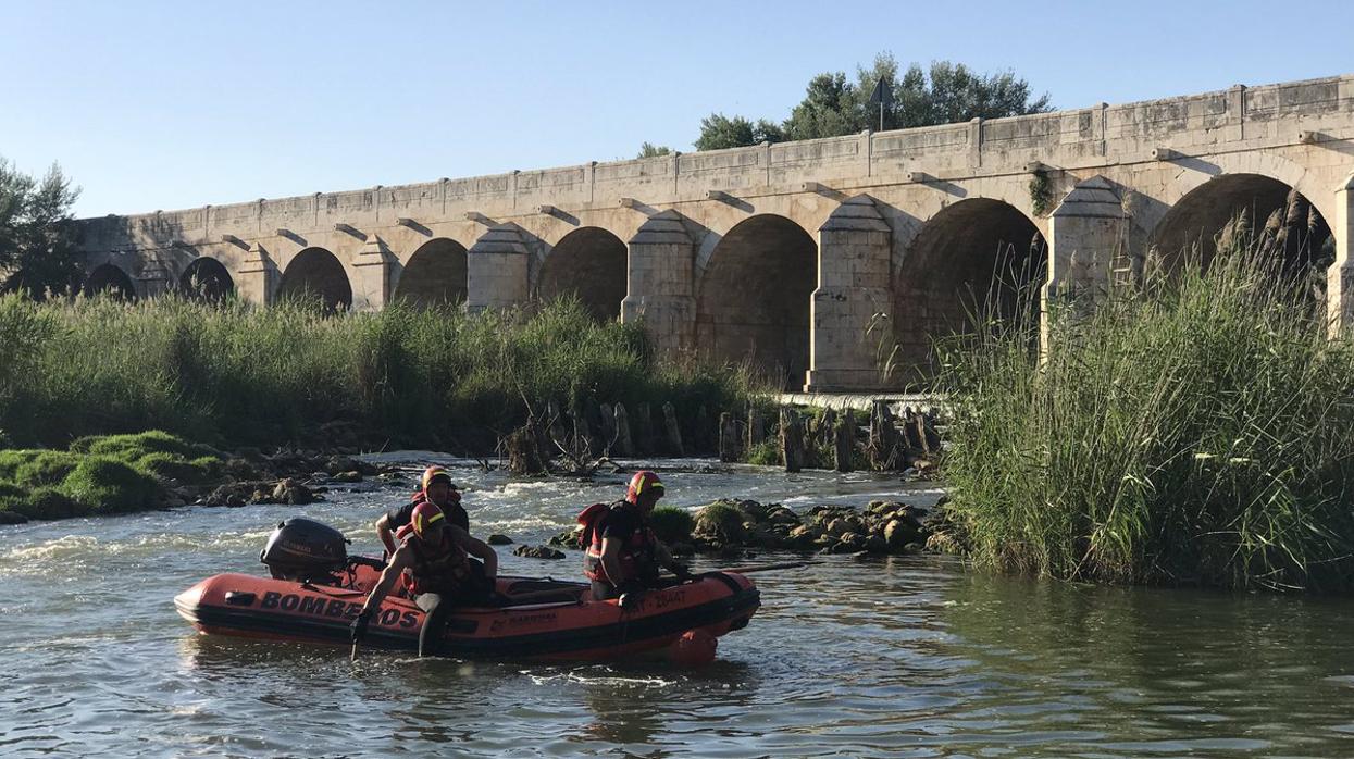 Bomberos de la Comunidad de Madrid en plena labor de búsqueda