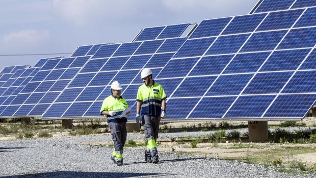 La energía verde consumida por Hidraqua evita una emisión de CO2 equivalente al que absorben 80.000 árboles en un año