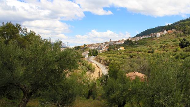 Hallan el cadáver de un hombre dentro de un saco de dormir en una finca de olivos de Alicante