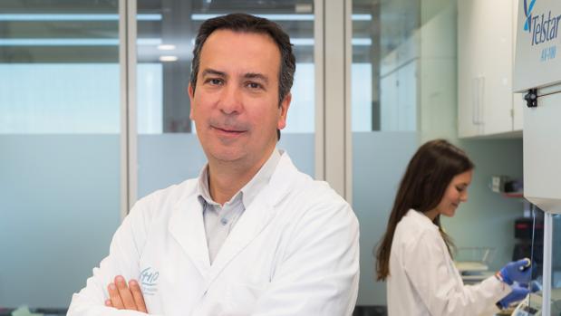 Desarrollan un nuevo fármaco que potencia el sistema inmune contra el cáncer y detiene las metástasis