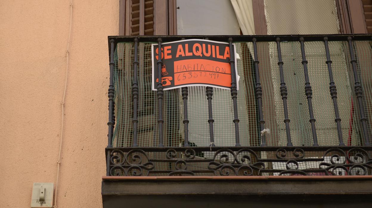 Mañana termina el plazo para solicitar las ayudas al Alquiler de la ...