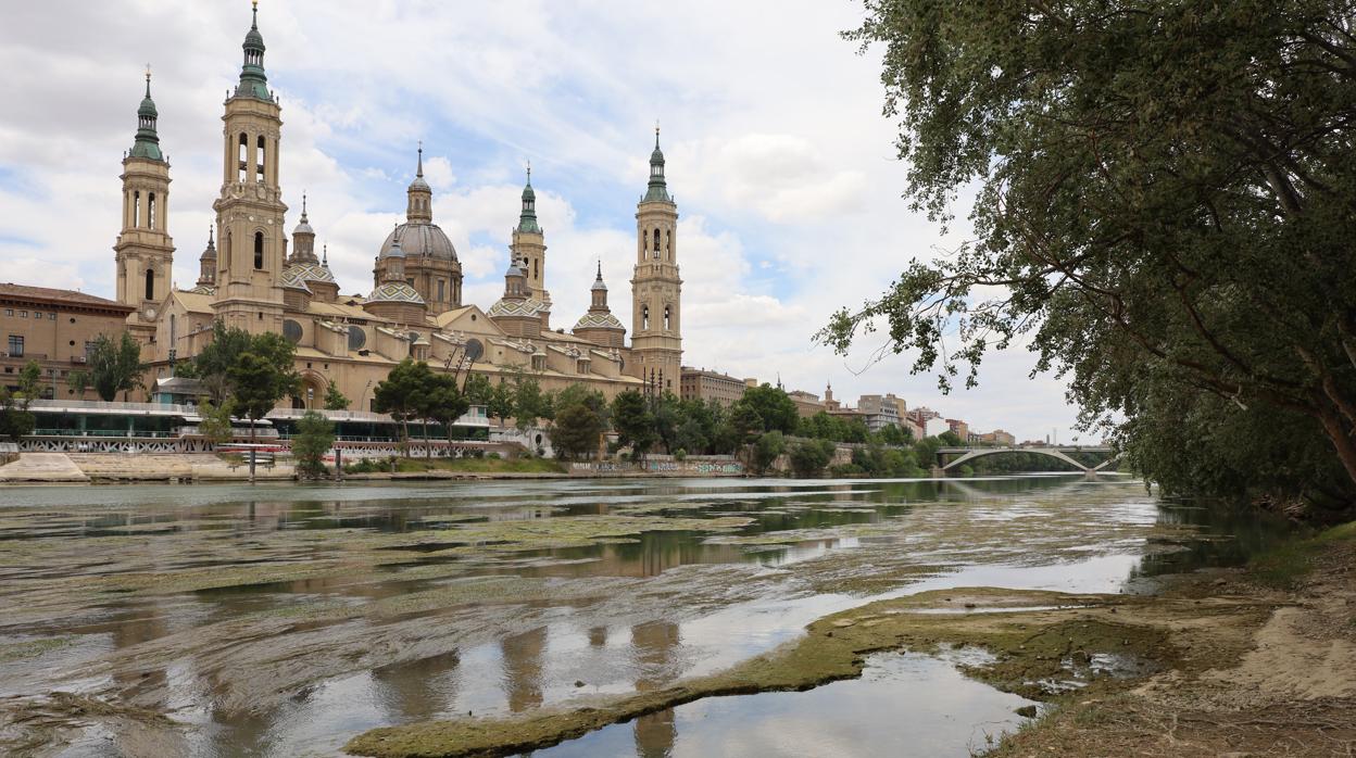 Aspecto que presenta el Ebro a su paso por Zaragoza, con poca agua y muchas algas