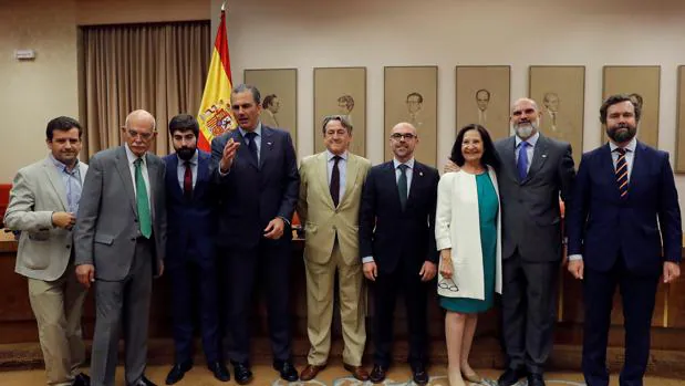 Vox se integra en el mismo grupo de la Eurocámara que los flamencos que apoyan a Puigdemont