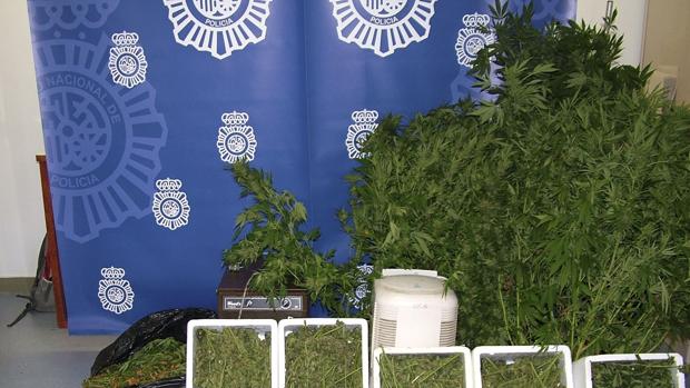 Cae una red experta en vender marihuana sintética por Internet