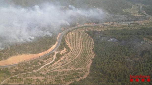 Un incendio forestal obliga a cortar la C-12 en Maials (Lérida)