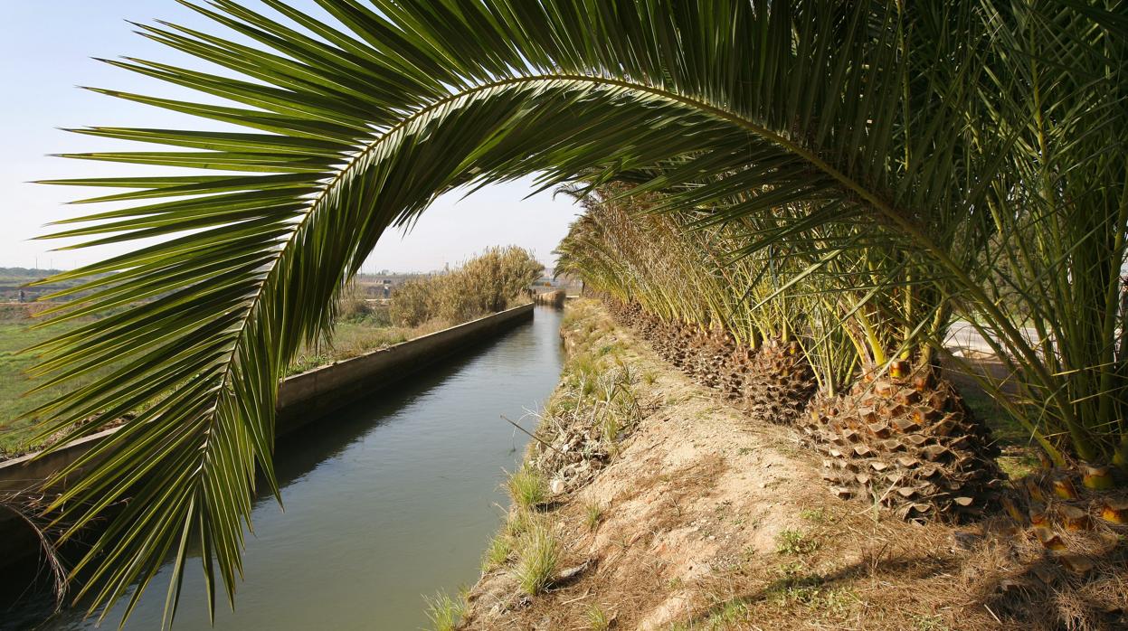 Imagen de archivo de una acequia valenciana