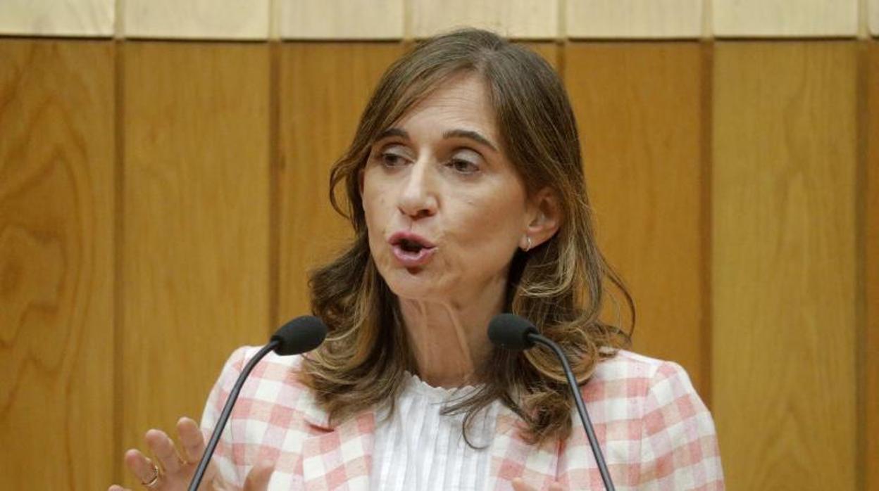 La conselleira Carmen Pomar comparece ayer ante el Parlamento gallego